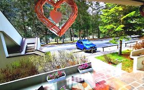 Dapolo - Cosy Appartment In Val Di Fassa